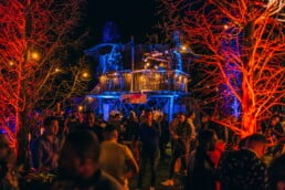 Boomhut uitgelicht img 7402 1 uai • live-impact. Nl