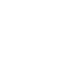 Bravis 250x250 2 • live-impact. Nl