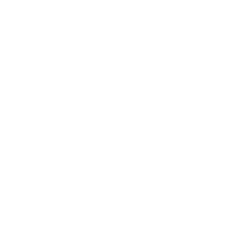 Dof 250x250 1 • live-impact. Nl