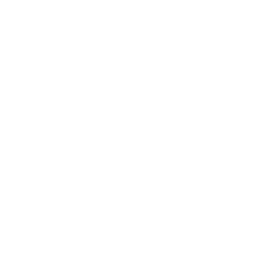 Loodswezen 250x250 1 • live-impact. Nl