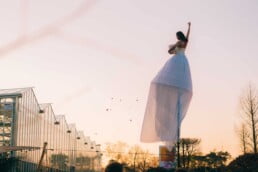 Noi blaadjes kas pole back 1 uai • live-impact. Nl